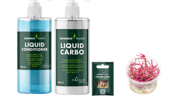 Pflanzen als Kernkompetenz