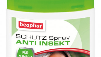 Schutz für Mensch & Hund