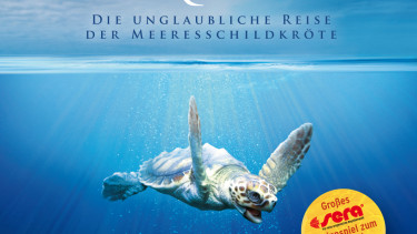 Aquaristik im Kino
