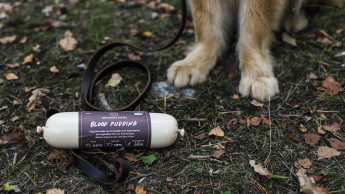 Magnusson Petfood: Blutwurst als Nassfutter für Hunde Magnusson Petfood: Blutwurst als Nassfutter für Hunde