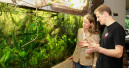 Neuheiten im Tetra-Aquarium 