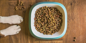 Sensorisch optimiertes Tierfutter