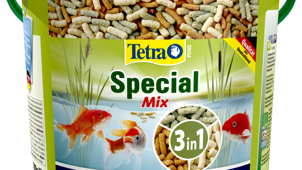 Tetra Pond Special Mix, Tetra