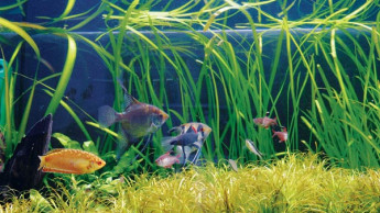 Großhandel I: Mit dem Rücken zur Wand