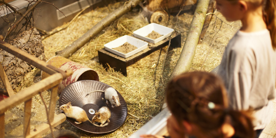 Im Zoofachhandel stehen nicht nur Produkte im Mittelpunkt, sondern lebende Tiere und die emotionale Beziehung zwischen Mensch und Tier. Kaufentscheidungen sind hier stark von Gefühlen geprägt, verantwortungsvolle Beratung schafft dabei Vertrauen zum Fachhändler.
