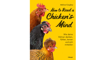 How to read a chickens’s mind How to read a chickens’s mind