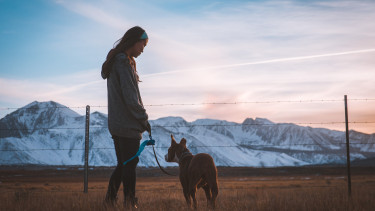 DV-TH kritisiert Klöckner-Verordnung