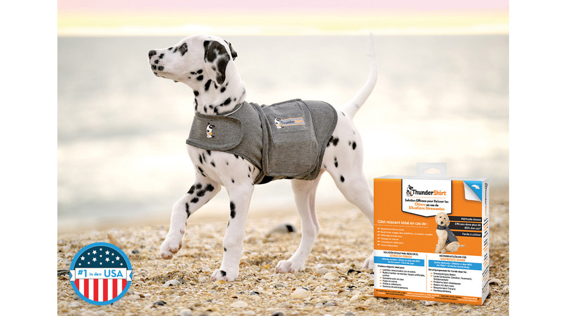 Thundershirt gibt es jetzt auch in