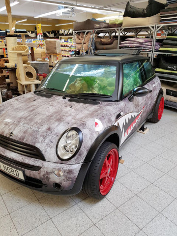 30 Jahre Futterhaus, Mini Cooper, geflutetes Auto
30 Jahre Futterhaus, Mini Cooper, geflutetes Auto