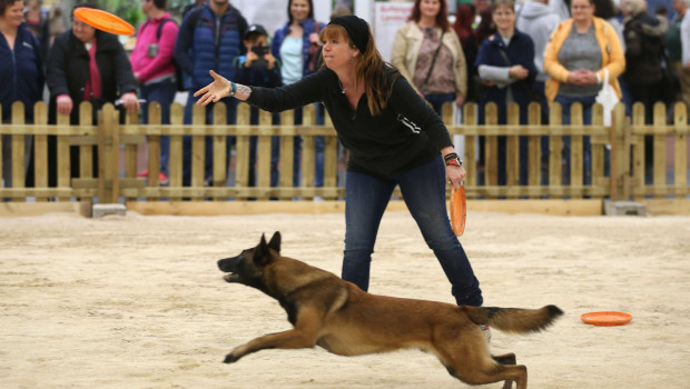 Auf der Hundewiese sorgen dieses Jahr unter anderem Treibball, Dogdance und Hundefrisbee für ein erlebnisreiches Programm. Auf der Hundewiese sorgen dieses Jahr unter anderem Treibball, Dogdance und Hundefrisbee für ein erlebnisreiches Programm.