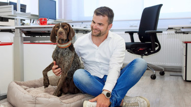 Bürohunde sorgen für gutes Arbeitsklima