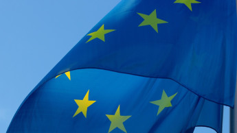 Gesetzlücken beim EU-Wildvogel-Importverbot