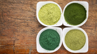 "Mikroalgen gegen Nährstoffmangel"