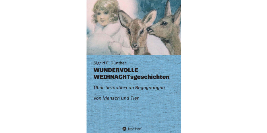 Tredition, Wundervolle Weihnachtsgeschichten