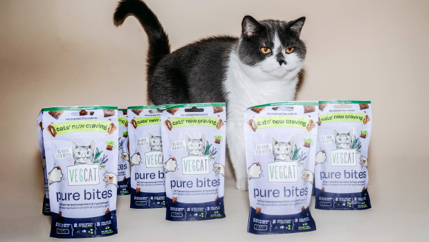 Die „Vegcat Pure Bites“ mit Fermentationsprotein enthalten keine tierischen Proteine und sollen perfekt für sensible Katzen geeignet sein.