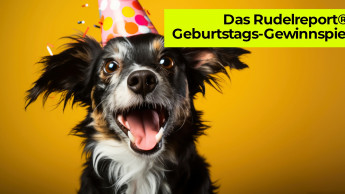 Gewinnspiel zum Geburtstag des Rudelreports