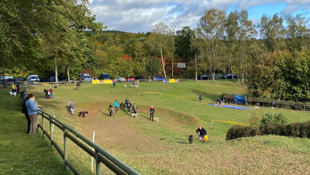 Für Hunde und ihre Besitzer fand in Goldbach ein Crossdog statt.