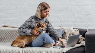 Neue Online-Seminare der Heimtier-Akademie