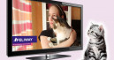 Ceva schaltet TV-Werbung