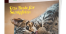 E-Magazin Katze