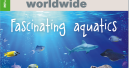 Die neue PET worldwide ist da