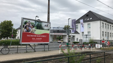 Anmeldung zur Faszination Heimtier beginnt