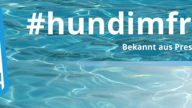 Hunde im Freibad