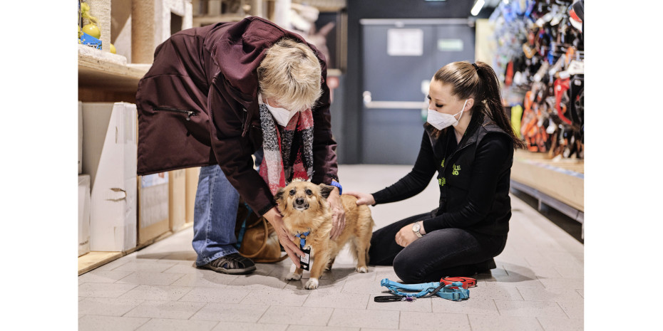 Während der Pandemie haben Hundebesitzer viel in ihr Tiere investiert. Das Bild zeigt ein Kundengespräch im Kölle-Zoo-Markt in Ulm.