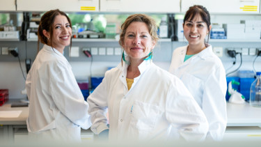 Biocraft mischt Futtermittelindustrie auf