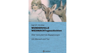 Wundervolle Weihnachtsgeschichten