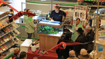 Kölle-Workshop in Weiterstadt