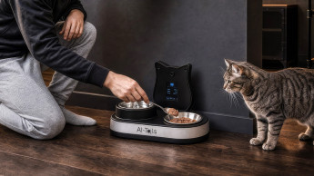 AI-Tails finanziert KI-Futterstation für Katzen über Kickstarter