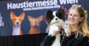 Haustiermesse Wien in zwei Hallen