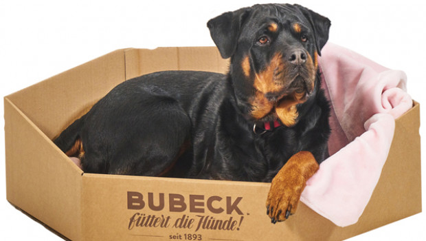 Die Idee, aus einem Versandkarton einen Hundekorb zu machen, wurde mit dem 2. Platz beim „Innovationspreis Wellpappe“ belohnt.