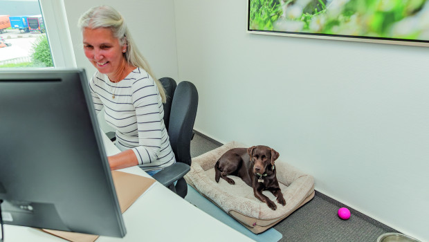 „Mit meinem Hund den Eignungstest zu absolvieren, hat mir ein gutes Gefühl gegeben. Ich wusste danach, dass wir beide auf den Büroalltag vorbereitet sind. Die klaren Regeln sorgen dafür, dass das Zusammenarbeiten für alle Beteiligten funktioniert und sich Mensch und Hund gleichermaßen wohlfühlen“, sagt Gabriele Knigge (im Bild), Leiterin des Onlinemarketings bei Trixie, mit ihrer Hündin Luna. „Mit meinem Hund den Eignungstest zu absolvieren, hat mir ein gutes Gefühl gegeben. Ich wusste danach, dass wir beide auf den Büroalltag vorbereitet sind. Die klaren Regeln sorgen dafür, dass das Zusammenarbeiten für alle Beteiligten funktioniert und sich Mensch und Hund gleichermaßen wohlfühlen“, sagt Gabriele Knigge (im Bild), Leiterin des Onlinemarketings bei Trixie, mit ihrer Hündin Luna.