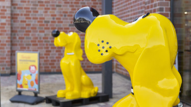 Lagerräumung bei Das Futterhaus