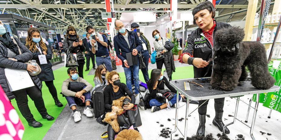 Auf der Messe in Bologna wird es auch viele interessante Vorträge und auch Grooming-Vorführungen geben.