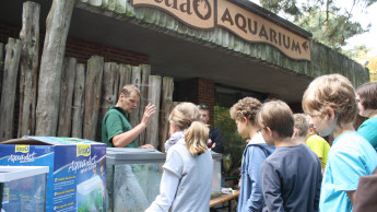 Tetra unterstützt Nachwuchsförderung in der Aquaristik