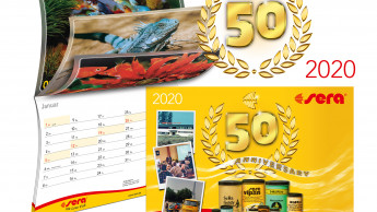 Vorgeschmack auf ein rundes Firmenjubiläum 