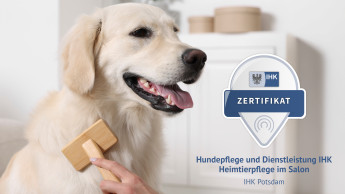 IHK-Zertifikatslehrgang „Hundepflege und Dienstleistung“ IHK-Zertifikatslehrgang „Hundepflege und Dienstleistung“