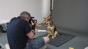 Josera startet Foto-Roadshow 