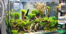 Fisch & Reptil im Dezember