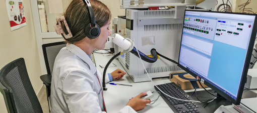 Echte Wachstumstreiber Echte Wachstumstreiber
