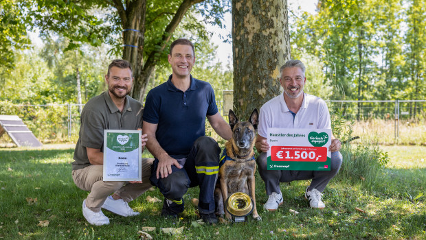 „Boom" aus Oberösterreich ist das „Haustier des Jahres“: Oliver Wohlschlager, Regional Manager Vertrieb Fressnapf Österreich, Markus Gruber, Herrchen von Boom, Thomas Kerschbaumer, Sales Director Fressnapf Österreich (v.l.n.r.). „Boom" aus Oberösterreich ist das „Haustier des Jahres“: Oliver Wohlschlager, Regional Manager Vertrieb Fressnapf Österreich, Markus Gruber, Herrchen von Boom, Thomas Kerschbaumer, Sales Director Fressnapf Österreich (v.l.n.r.).