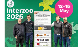Wie Exzellenz aussieht