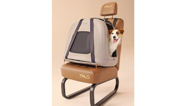 Tavo Pets