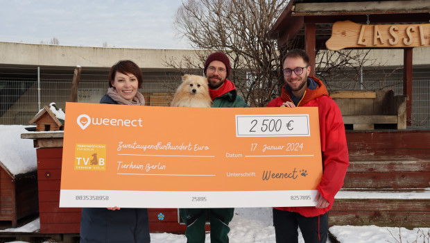 Mit 2.500 Euro unterstützt Weenect die Arbeit des Tierheims Berlin (von links): Anna-Maria Gerhart (Weenect), Tierpfleger Benedikt Gründel und Bastian Gies (beide Tierheim Berlin).