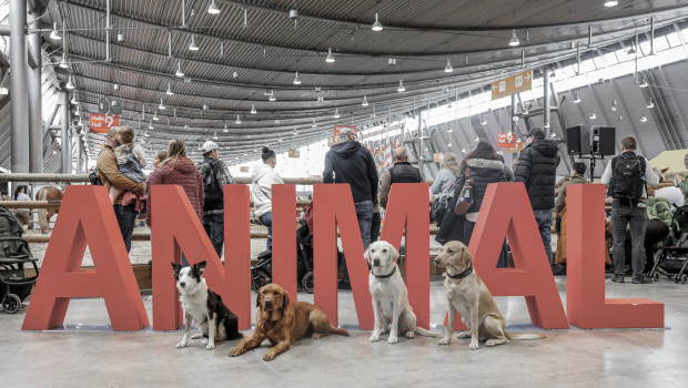 Harald Siegmund war viele Jahre der Projektleiter der Messe Animal in Stuttgart.