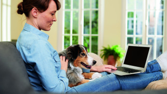 Warum Hund und Katze jetzt besonders wichtig sind