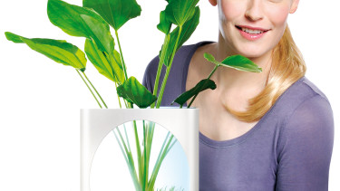 Dennerle verlängert mit Enie